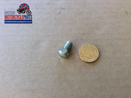 04-0136 SCREW - CAMPLATE SPINDLE