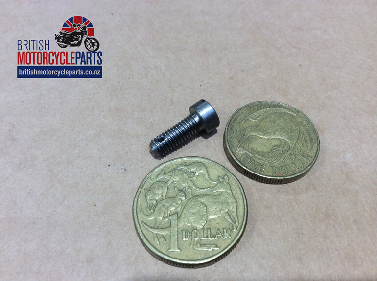06-7560-Screw-Tappet-Location-Plate-NMT2143 British Motorcycle Parts Auckland NZ