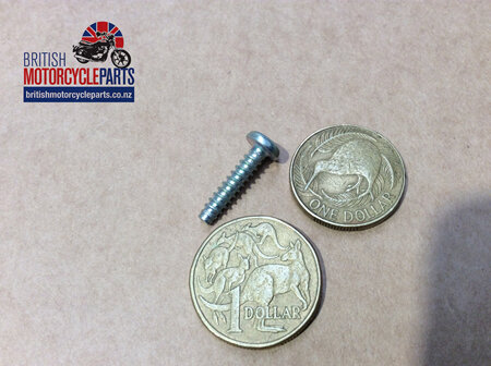 21-7010 Slotted Panel Screw 1"