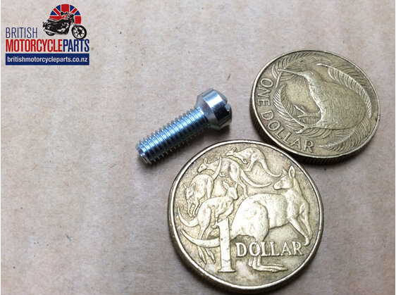 376/079 Float Chamber Cover Screw - Monobloc - British Motorcycle Parts - NZ