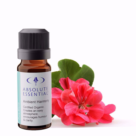 AEL Ambient Harmony Blend 10ml