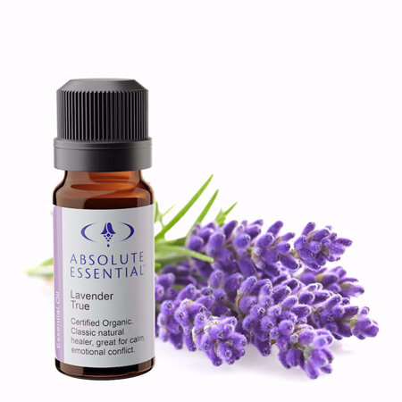 AEL Lavender True Oil Organic 10ml