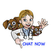 CLICK HERE to book an appointment with one of our experienced veterinarians online today!