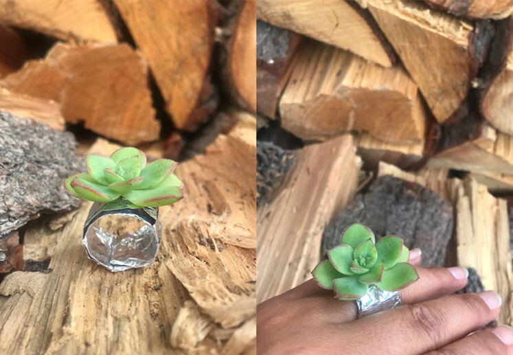 Colleen's Nature Inspired Succulent and Tinfoil ring:
