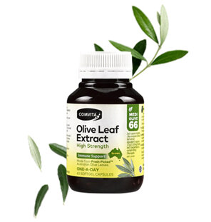 COMVITA Olive Leaf Extract High Strength 60s