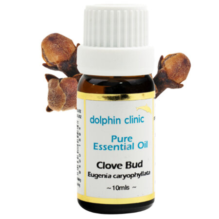 DOLPHIN Clove Bud Essential Oil 10ml