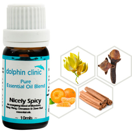 DOLPHIN Nicely Spicy Blend 10ml