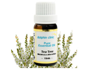 DOLPHIN Tea Tree Essential Oil 10ml