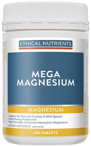 Ethical Nutrients MEGAZORB Mega Magnesium 120 Tablets