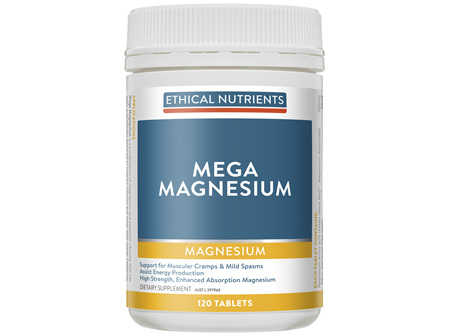 Ethical Nutrients MEGAZORB Mega Magnesium 120 Tablets
