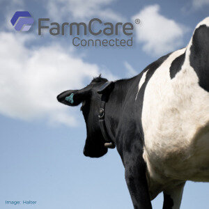 Get closer to your cows with wearables.