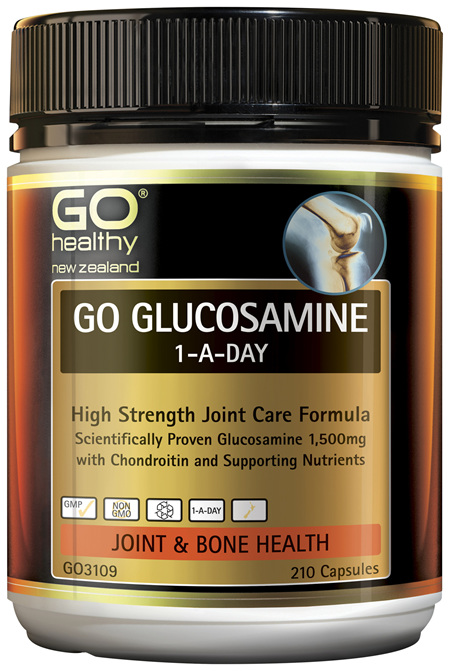 GO Glucosamine 1-A-Day 210 Caps