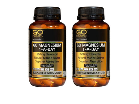 Go Magnesium 1-A-Day 500mg 60