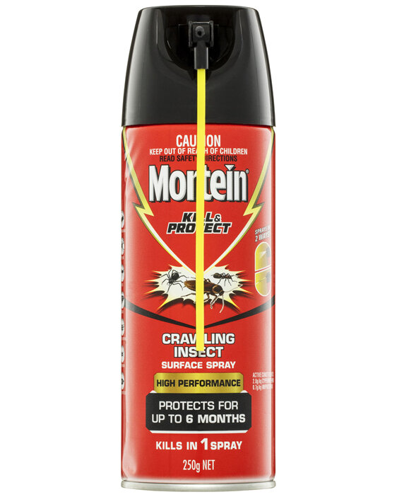Mortein PowerGard Easy Reach Crawling Insect Surface Spray 250g