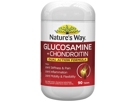 Nature's Way Glucosamine and +  Chondroitin 90s