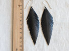 Pinned earrings with hi-lite blue tips