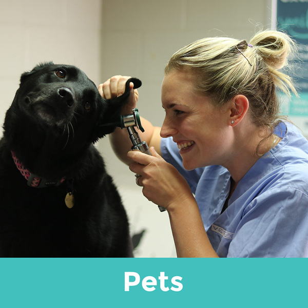 The bond you have with your pet is so precious, you never want it to end. Trust us as your partner, in the lifetime care of your pets.
