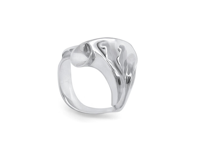 Wilshi proposal ring shell design