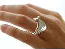 Wilshi shell proposal ring on the hand